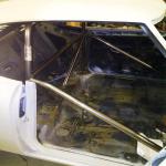 Roll cage