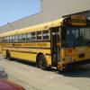 School bus, shuttle bus
