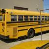 School bus rear
